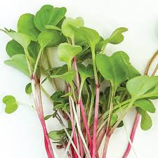 Microgreens