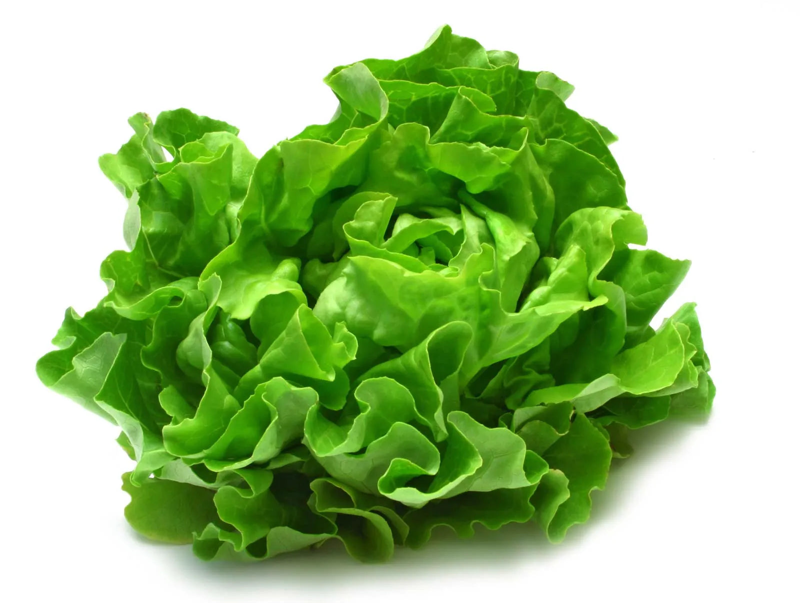 Leafy Greens