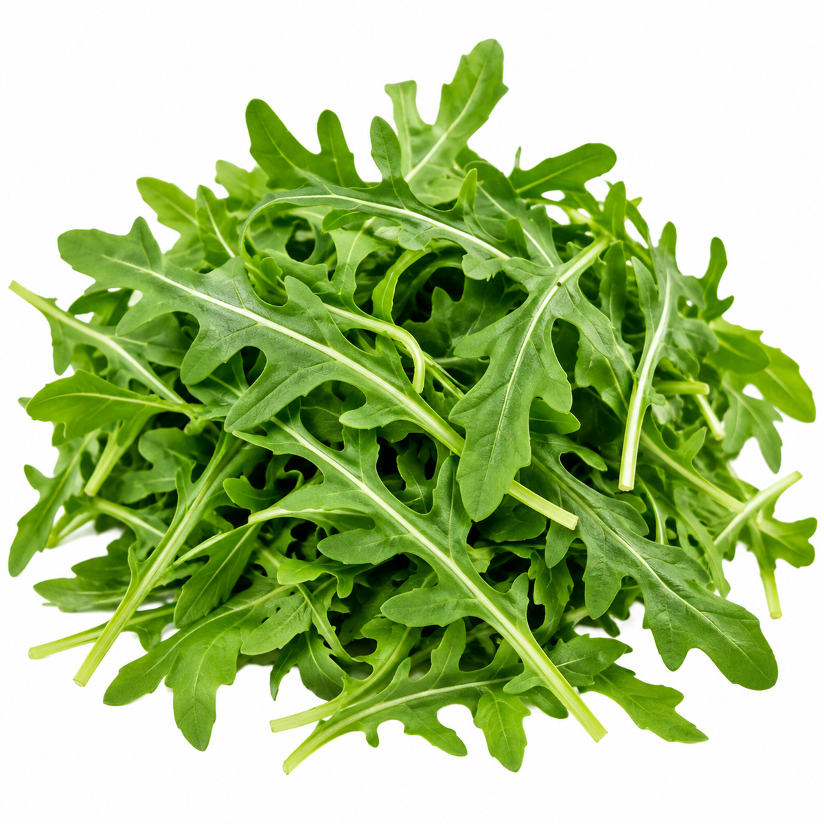 Arugula Leaves
