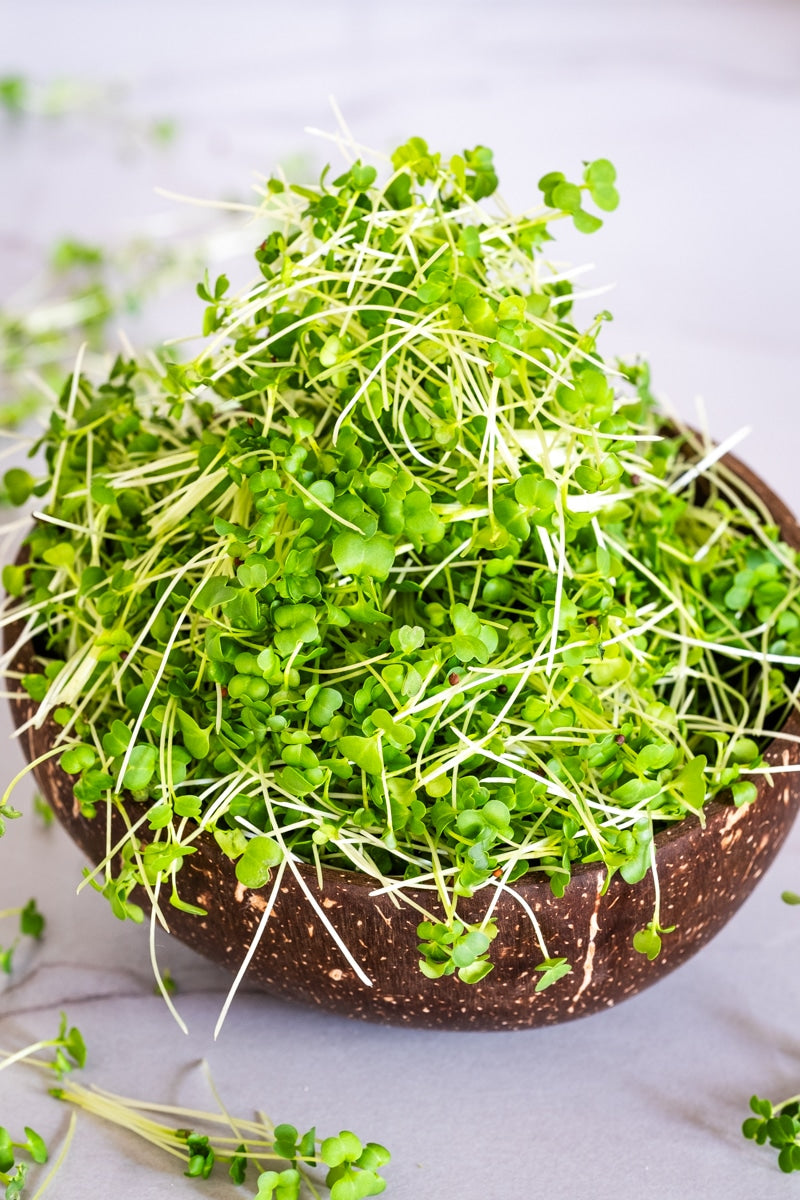 Broccoli Microgreens