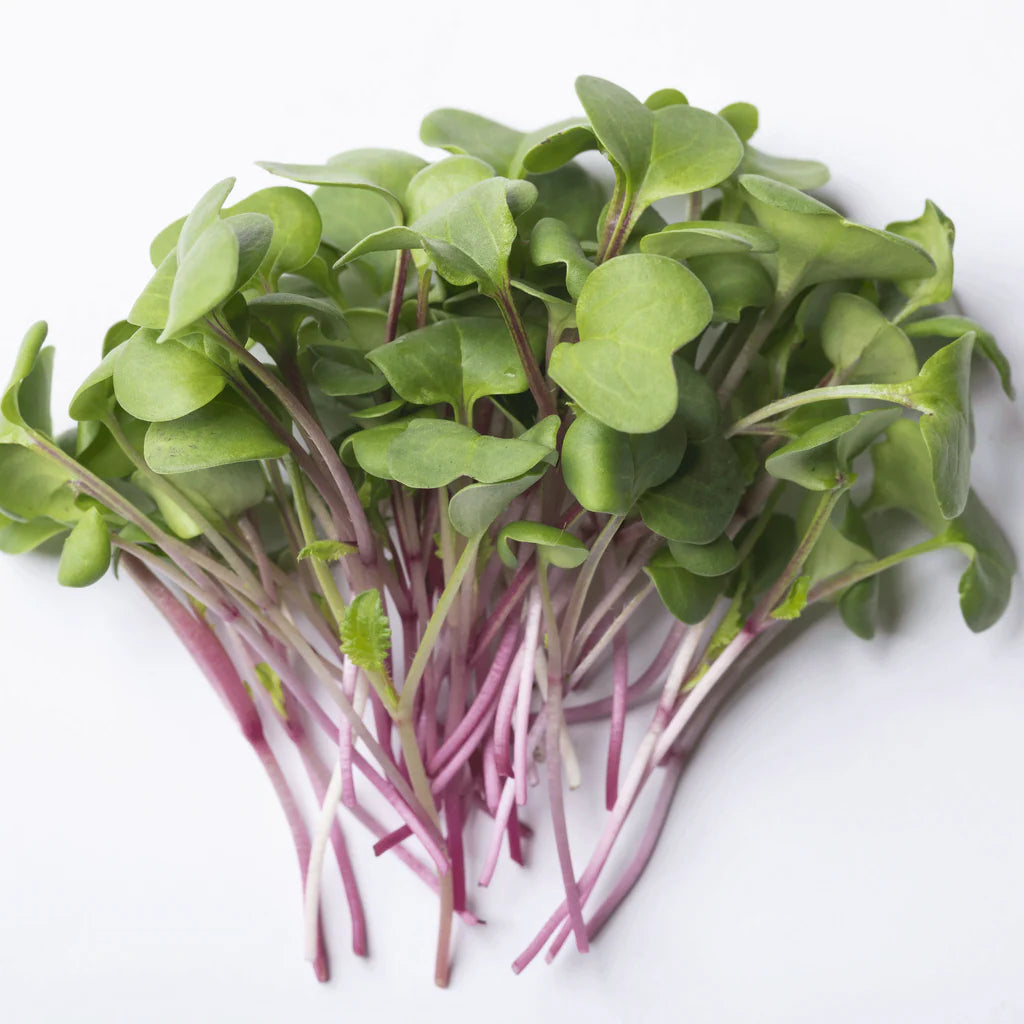 Broccoli-Radish Microgreens