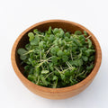 Mustard Microgreens