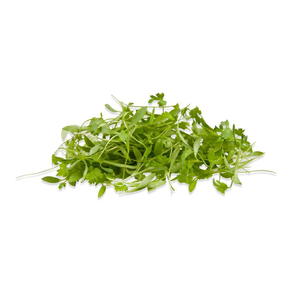 Broccoli & Cilantro Microgreens