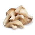 Oyster Mushrooms