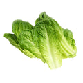 Romaine Lettuce Leaves (Washed)