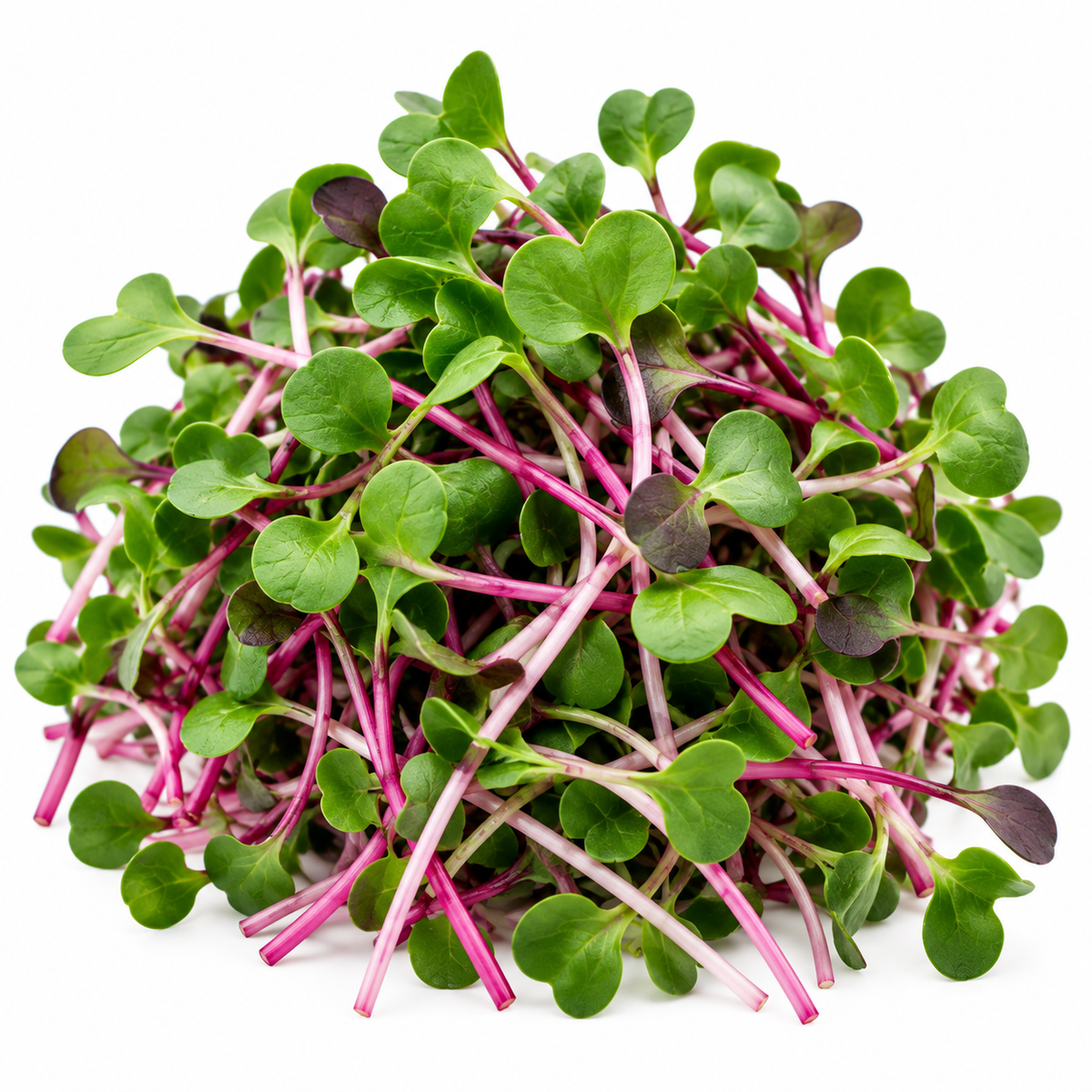 Radish Microgreens (43g)