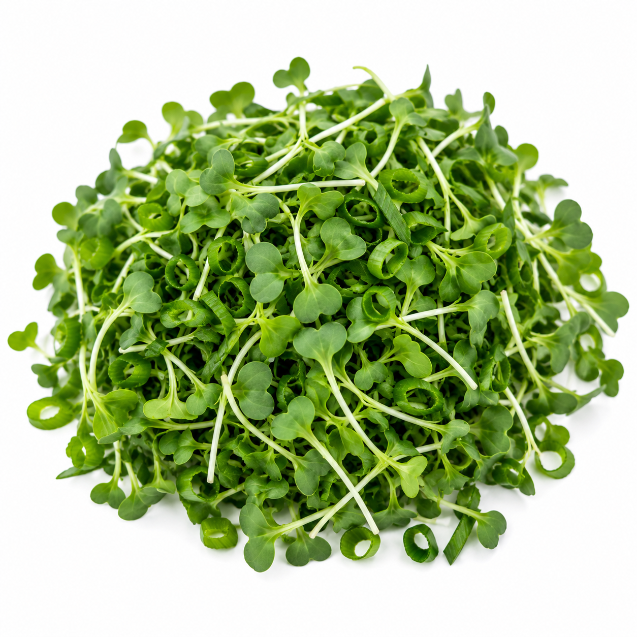 Broccoli & Spicy Green Onion Microgreens