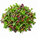 Cajun Spicy Microgreens Blend