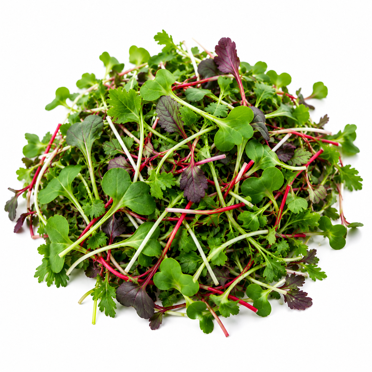 Cajun Spicy Microgreens Blend