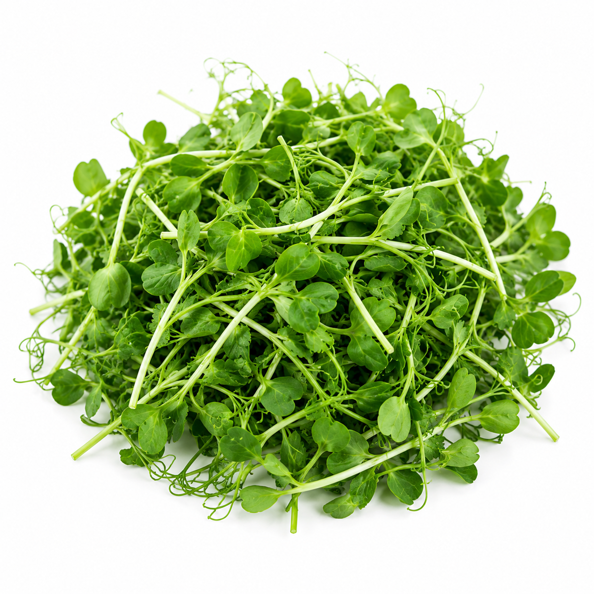 Pea Microgreens