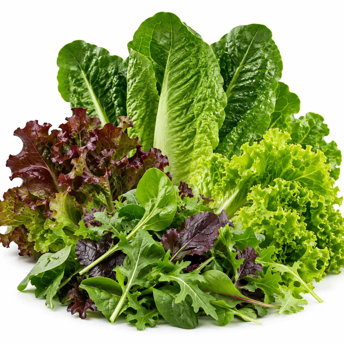 Premium Leafy Greens